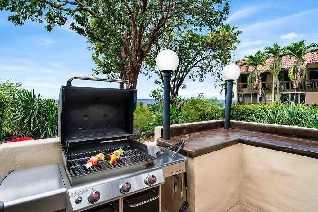 Ocean View Kona Mansions Apartment Kailua-Kona 0*,  United States